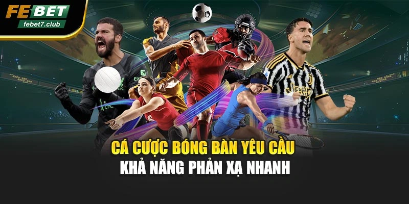 Cá cược bóng bàn yêu cầu khả năng phản xạ nhanh