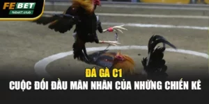 Đá Gà C1 – Cuộc Đối Đầu Mãn Nhãn Của Những Chiến Kê