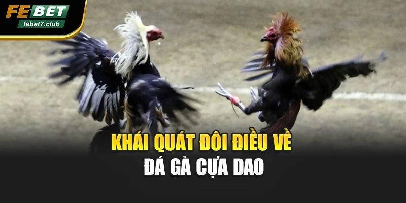 Khái quát đôi điều về đá gà cựa dao