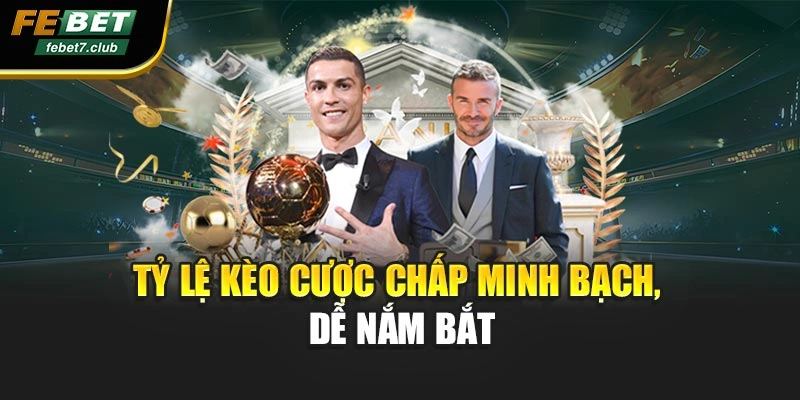 Tỷ lệ kèo cược chấp minh bạch, dễ nắm bắt